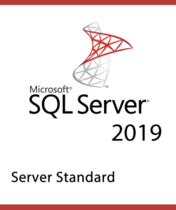 SQL Server 2019 standard Activation key – 1 USER